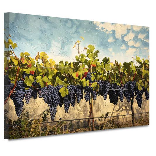 Wijngaard onder een helderblauwe lucht canvas