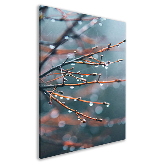 Glinsterende dauwdruppels op takken canvas
