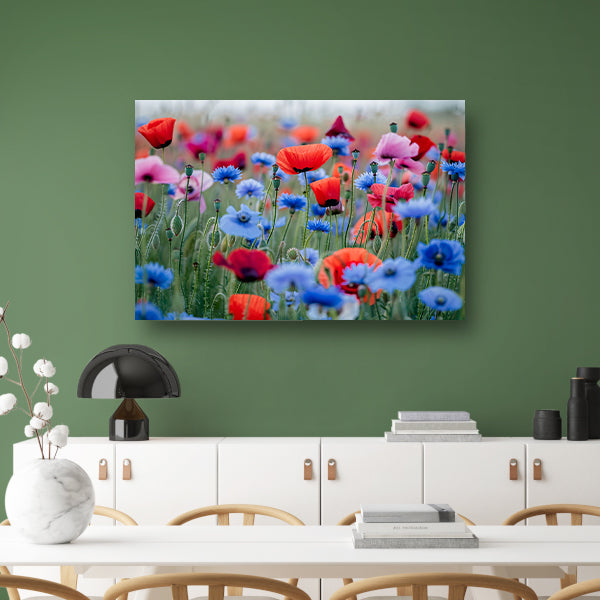 Een levendig veld van papavers en korenbloemen canvas met baklijst