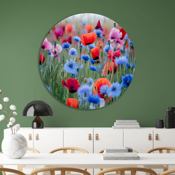 Een levendig veld van papavers en korenbloemen aluminium muurcirkel