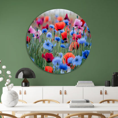 Een levendig veld van papavers en korenbloemen aluminium muurcirkel