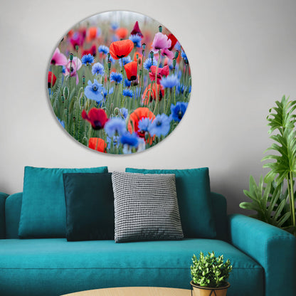 Een levendig veld van papavers en korenbloemen aluminium muurcirkel