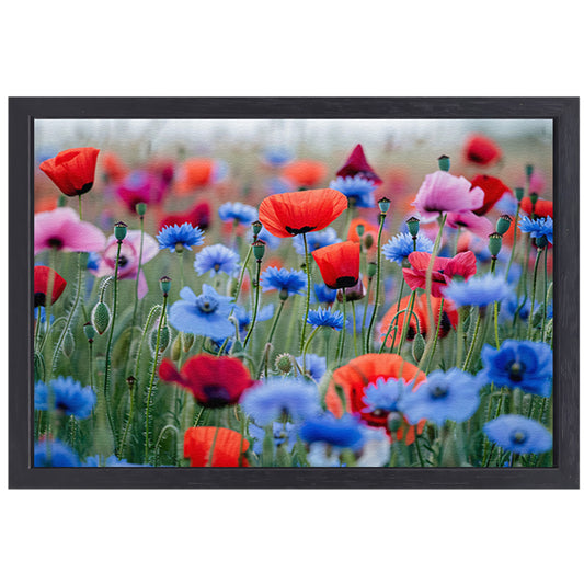 Een levendig veld van papavers en korenbloemen canvas met baklijst