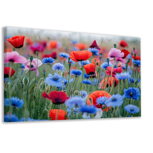 Een levendig veld van papavers en korenbloemen canvas