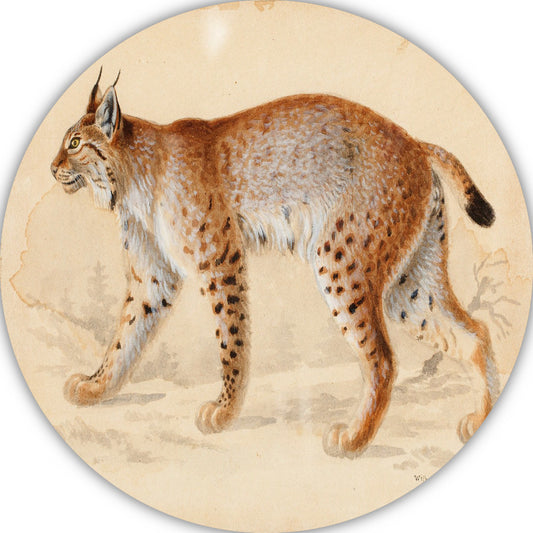 Lynx - Wilhelm von Wright forex muurcirkel