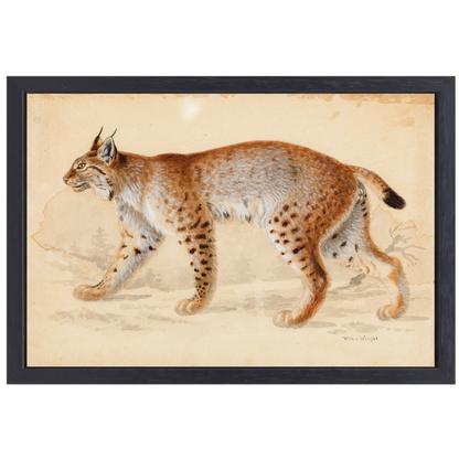 Lynx - Wilhelm von Wright canvas met baklijst