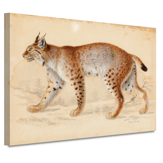 Lynx - Wilhelm von Wright canvas