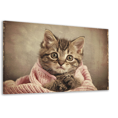 Schattige kitten gewikkeld in roze trui canvas