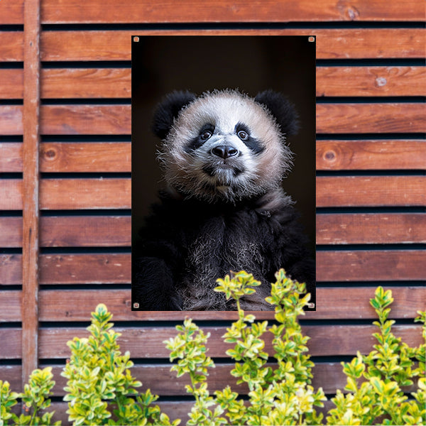 Portret van een Nieuwsgierige Panda tuinposter