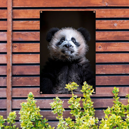 Portret van een Nieuwsgierige Panda tuinposter