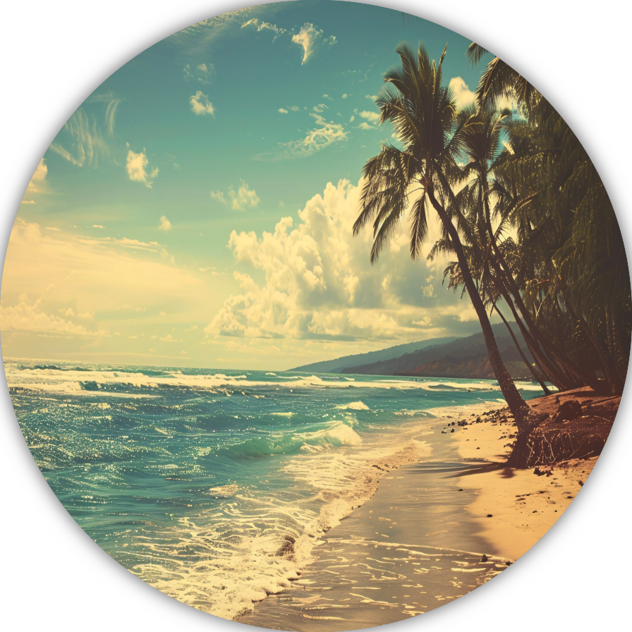 Tropisch Strandparadijs forex muurcirkel