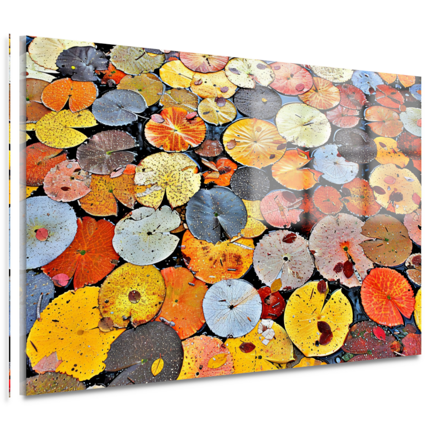 Impressionistische waterlelies acrylglas