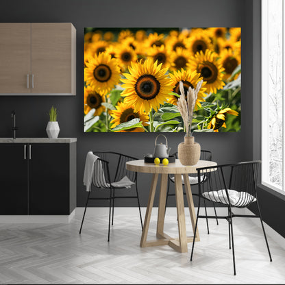 Fraaie zonnebloemen in volle bloei   poster