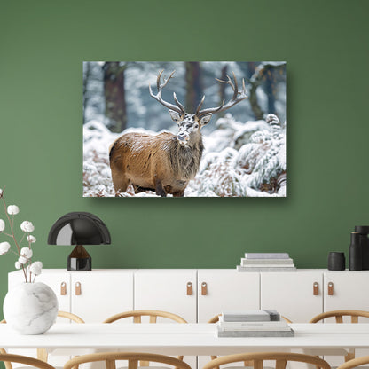 Hert met imposant gewei in winterlandschap   poster