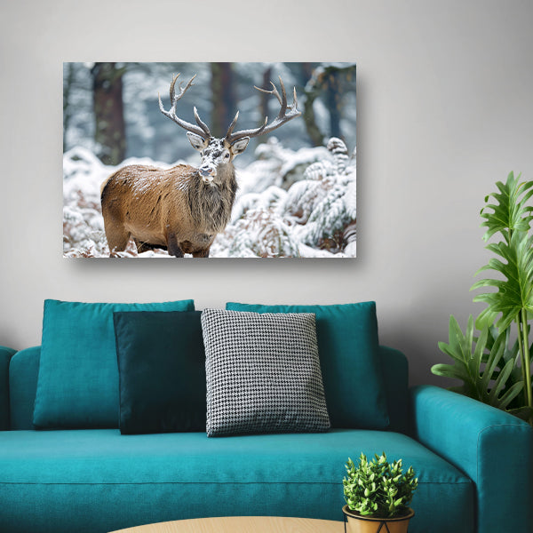 Hert met imposant gewei in winterlandschap   poster