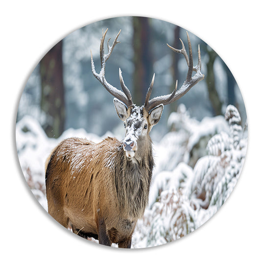 Hert met imposant gewei in winterlandschap   aluminium muurcirkel