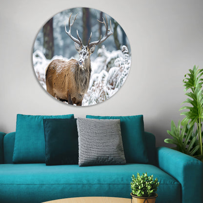 Hert met imposant gewei in winterlandschap   forex muurcirkel