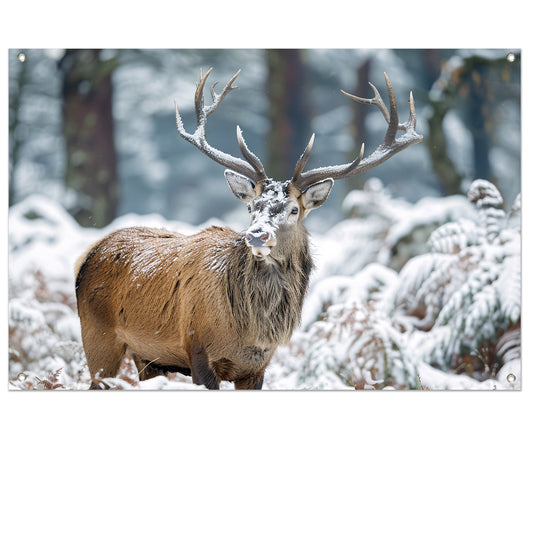 Hert met imposant gewei in winterlandschap   tuinposter