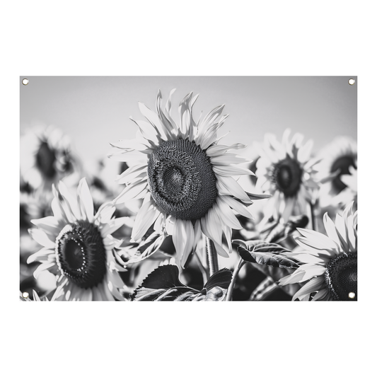 Elegante zwart-wit zonnebloemen, natuur in monochroom tuinposter