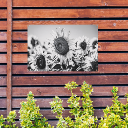 Elegante zwart-wit zonnebloemen, natuur in monochroom tuinposter