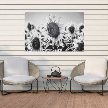 Elegante zwart-wit zonnebloemen, natuur in monochroom tuinposter