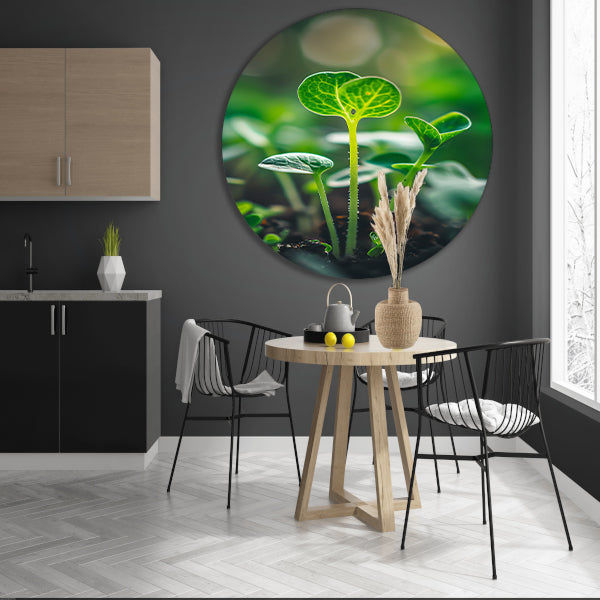 Close-up van jonge plantjes forex muurcirkel