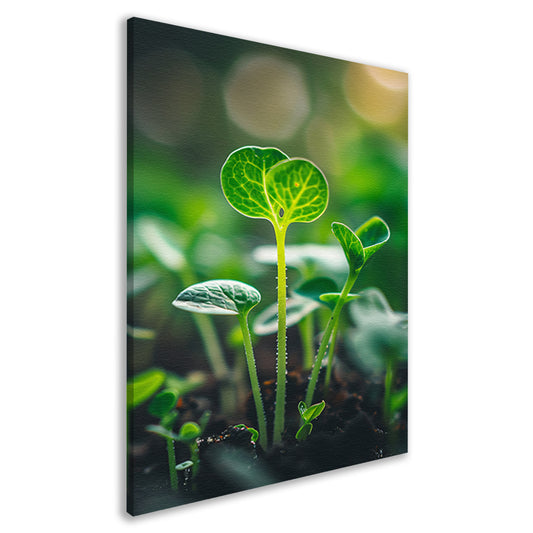 Close-up van jonge plantjes canvas