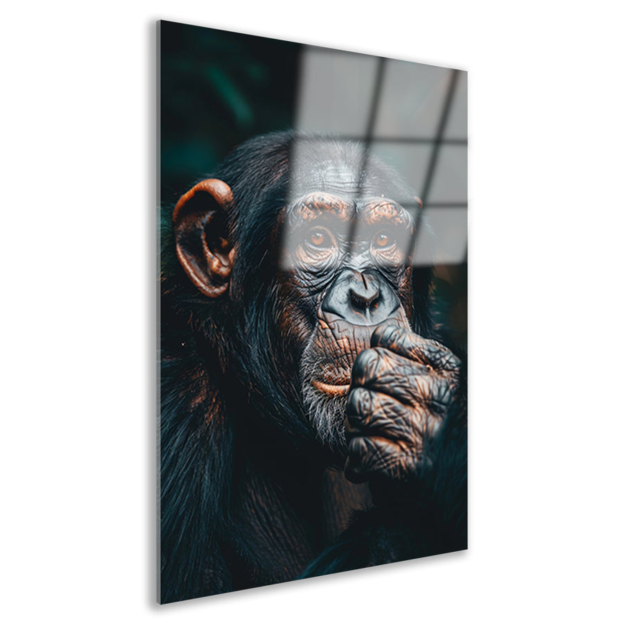 Gedetailleerd portret van een denkende chimpansee acrylglas