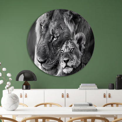 Knuffelende leeuwen in zwart-wit fotografie aluminium muurcirkel