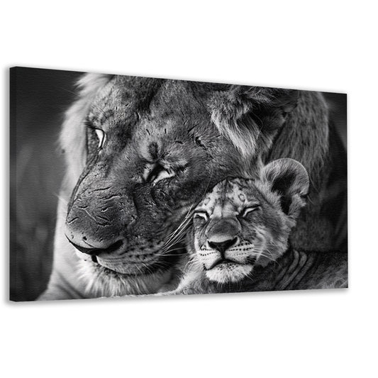 Knuffelende leeuwen in zwart-wit fotografie canvas
