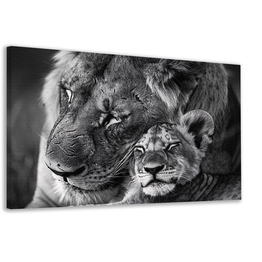 Knuffelende leeuwen in zwart-wit fotografie canvas