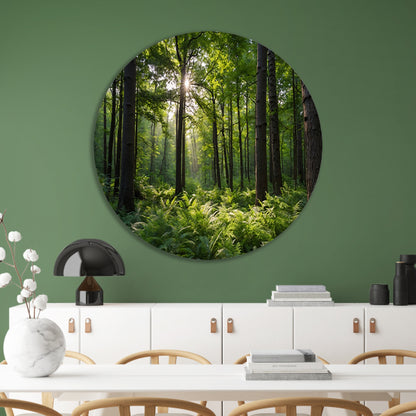 Zonnestralen door zomers groen bos forex muurcirkel
