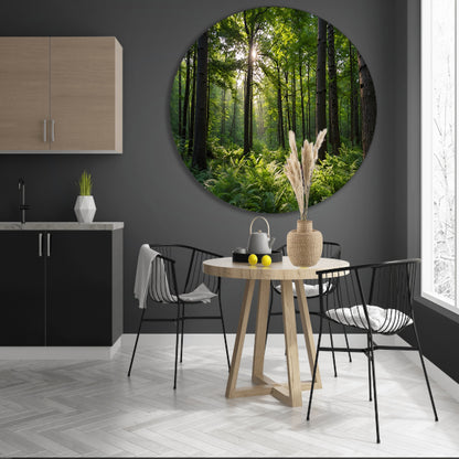 Zonnestralen door zomers groen bos aluminium muurcirkel
