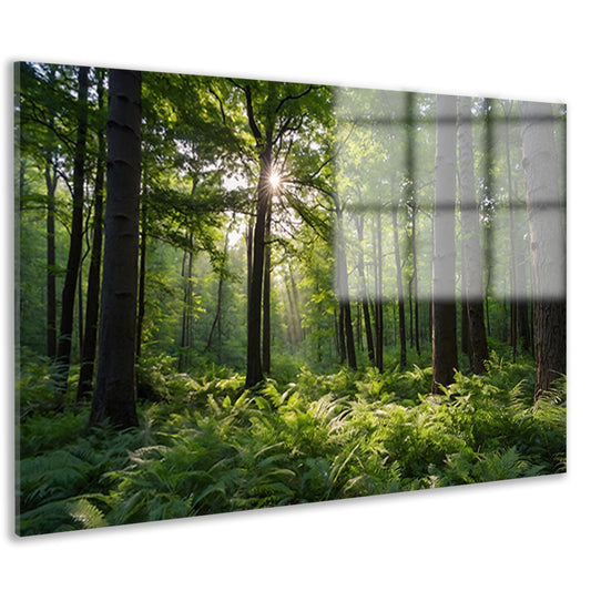 Zonnestralen door zomers groen bos acrylglas