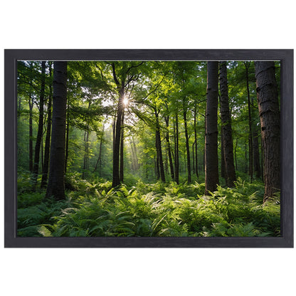 Zonnestralen door zomers groen bos canvas met baklijst