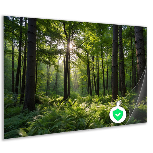 Zonnestralen door zomers groen bos poster