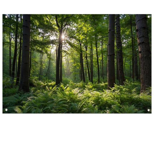 Zonnestralen door zomers groen bos tuinposter