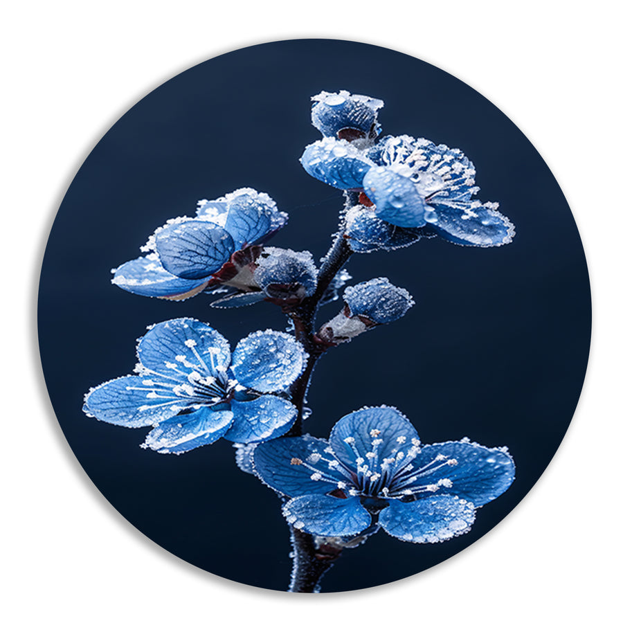 Blauwe bloemen met ijskristallen in close-up aluminium muurcirkel