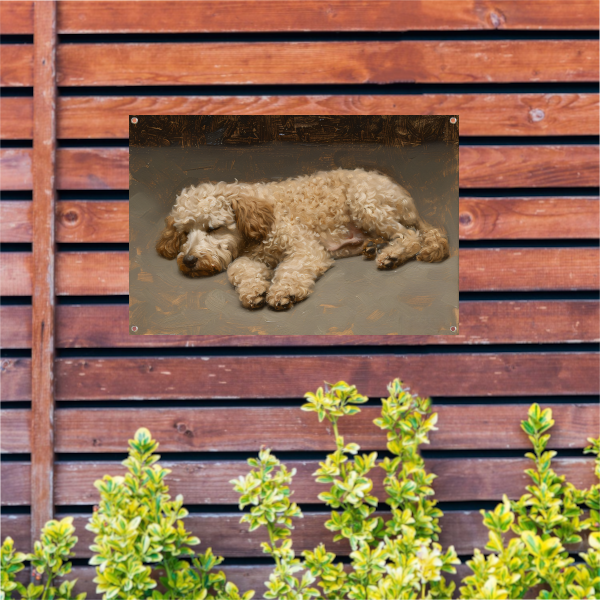 Schilderij van slapende hond in impressionistische stijl tuinposter