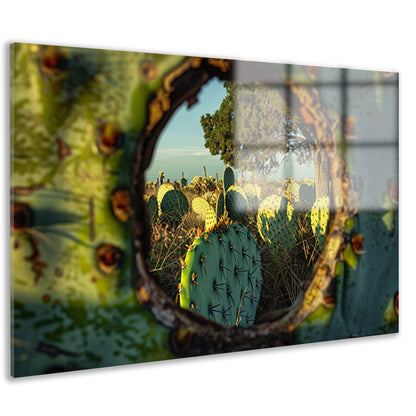 Close-up van cactus met landschap acrylglas