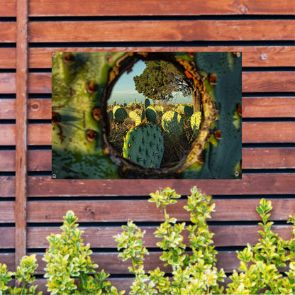 Close-up van cactus met landschap tuinposter