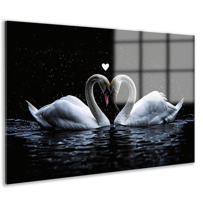 Twee zwanen vormen een hart in water acrylglas