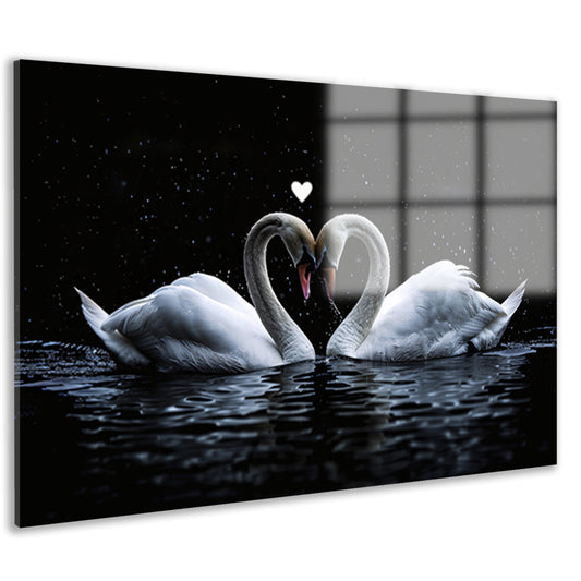 Twee zwanen vormen een hart in water acrylglas