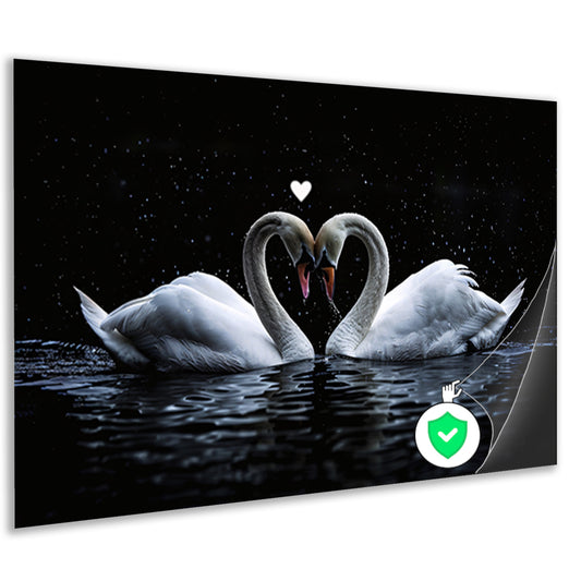 Twee zwanen vormen een hart in water poster