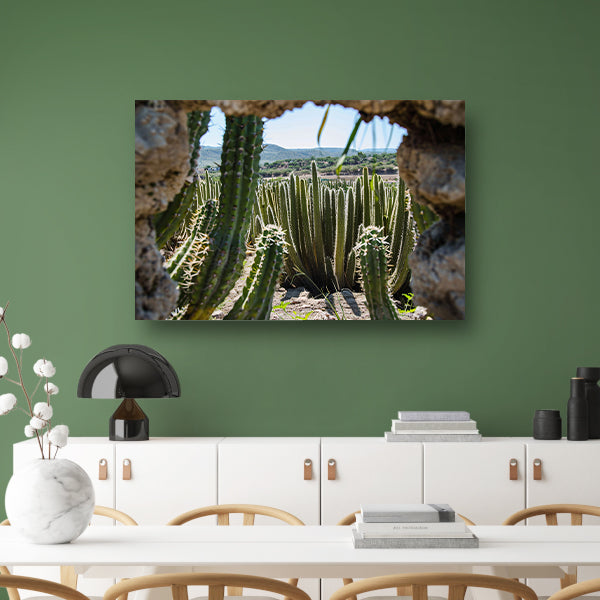 Cactussen in het landschap poster