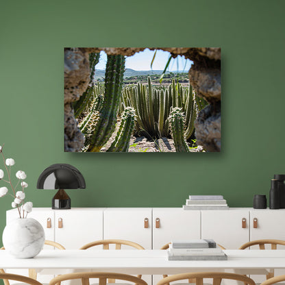 Cactussen in het landschap poster