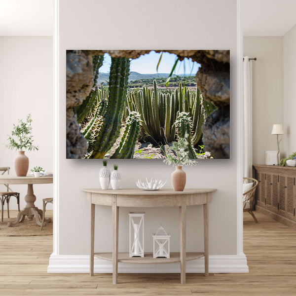 Cactussen in het landschap poster