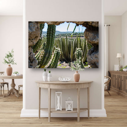 Cactussen in het landschap poster