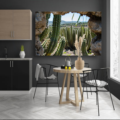 Cactussen in het landschap poster