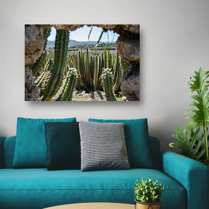 Cactussen in het landschap poster